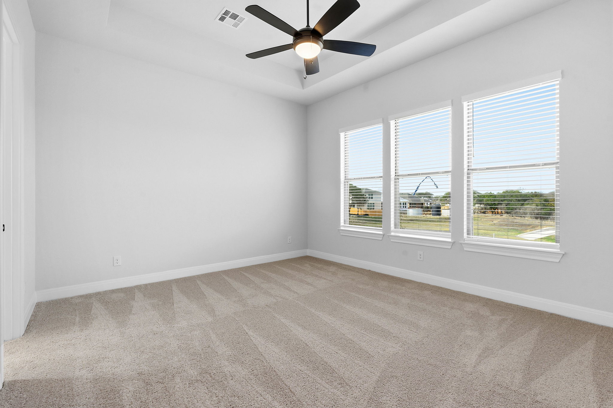 276 Prickly Poppy Loop Kyle, TX 78640 - Photo 23 of 38 Spare room with a raised ceiling, light colored carpet, and ceiling fan