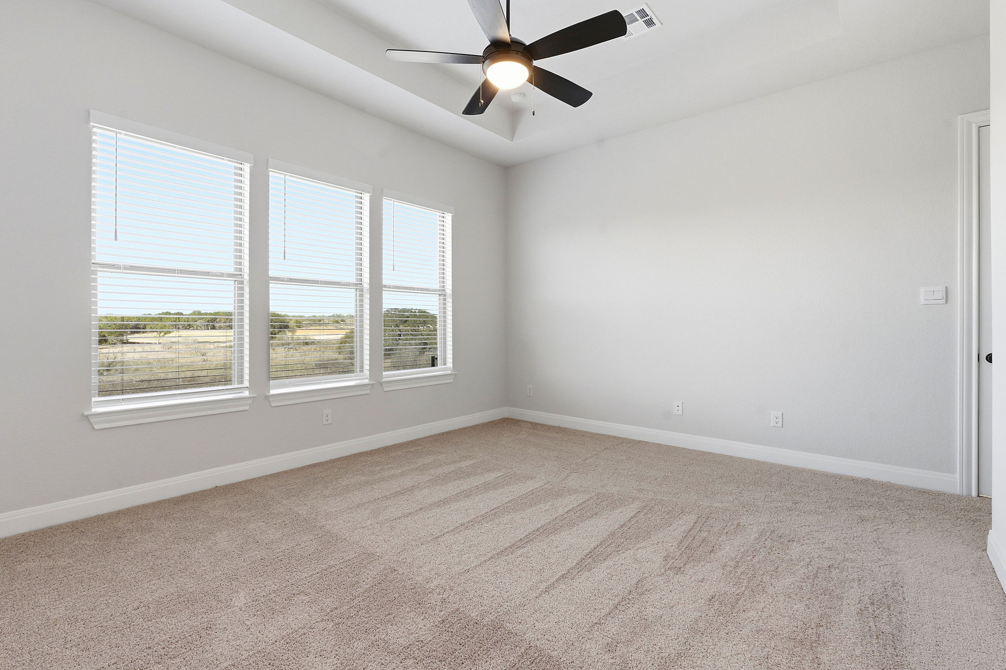 276 Prickly Poppy Loop Kyle, TX 78640 - Photo 24 of 38 Spare room with a tray ceiling, ceiling fan, and light carpet