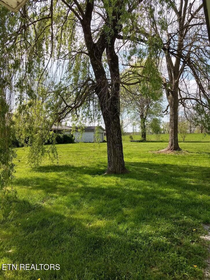 1202 Bowman Loop Crossville, TN 38571 - Photo 6 of 23 IMG_20200406_105756706_HDR