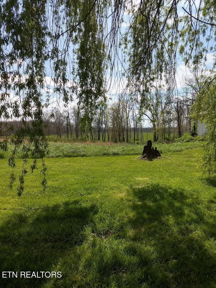 1202 Bowman Loop Crossville, TN 38571 - Photo 7 of 23 IMG_20200406_105809670_HDR