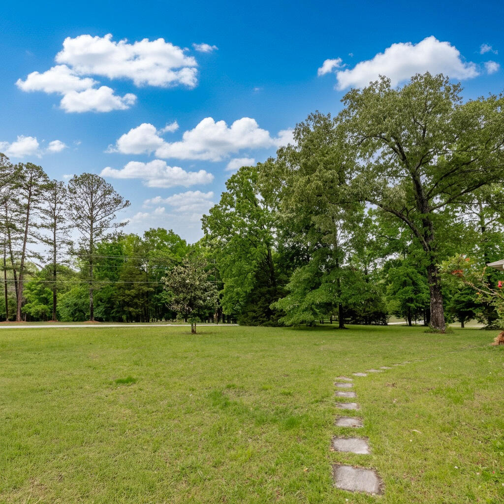 1473 Pine Grove Road Ringgold, GA 30736 - Photo 27 of 27 Photoroom_20260501_095912