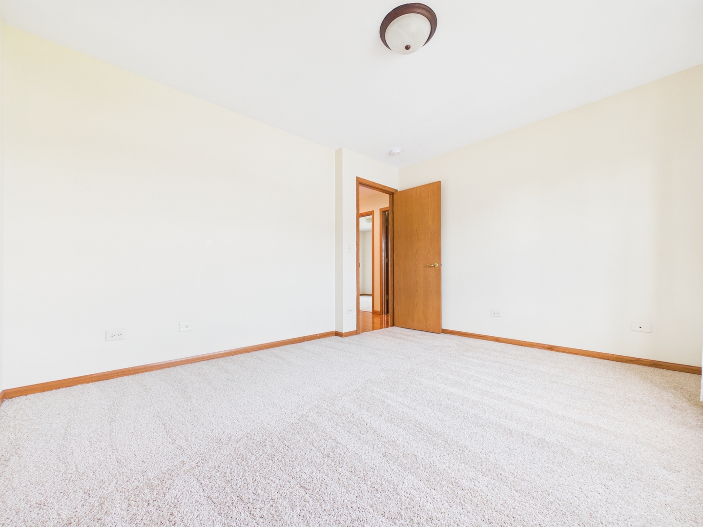 247 Alyssum Court Romeoville, IL 60446 - Photo 24 of 35