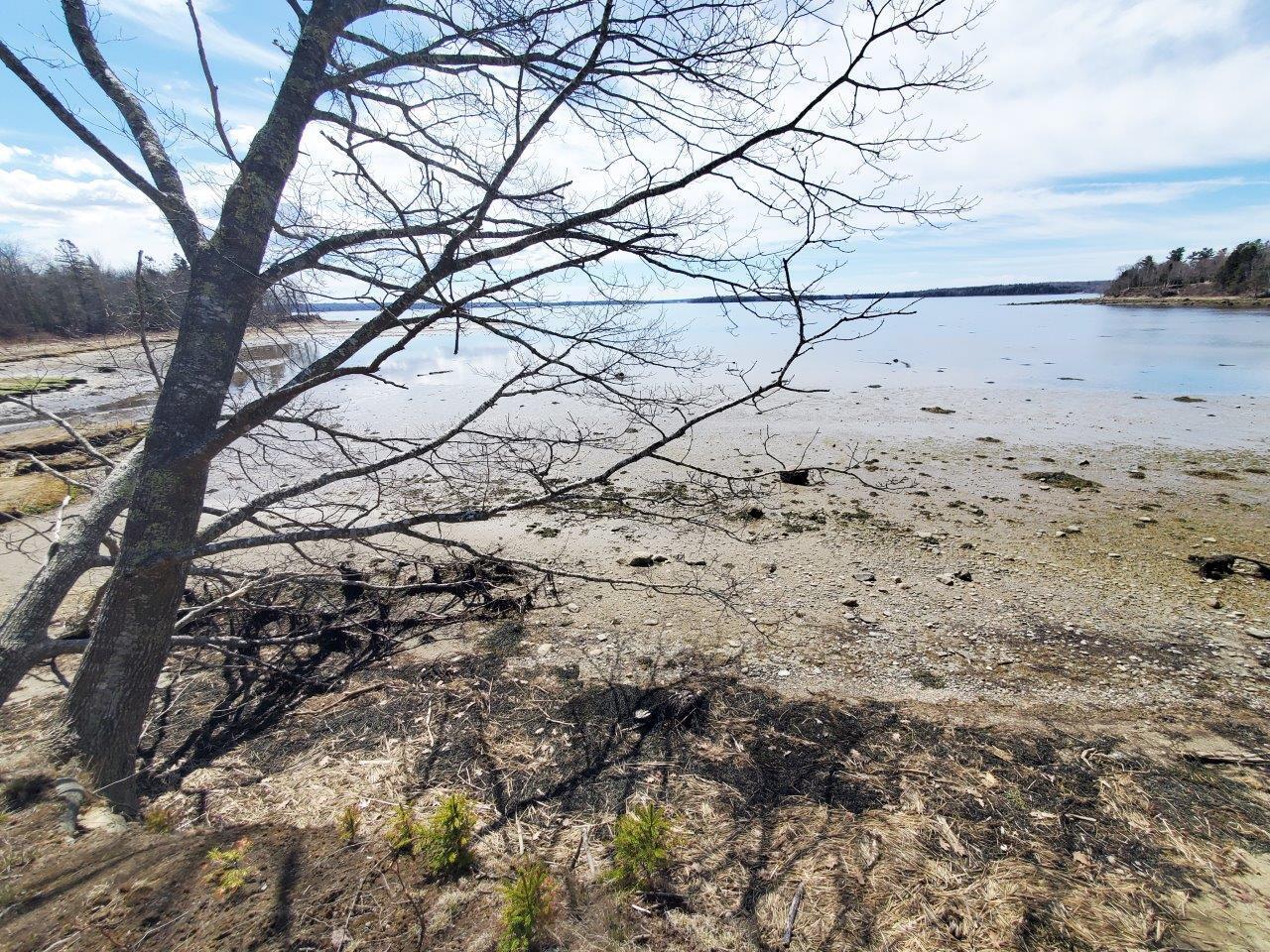 132 Pirates Cove Road Stockton Springs, ME 04981 - Photo 18 of 27 20260426_105429 b
