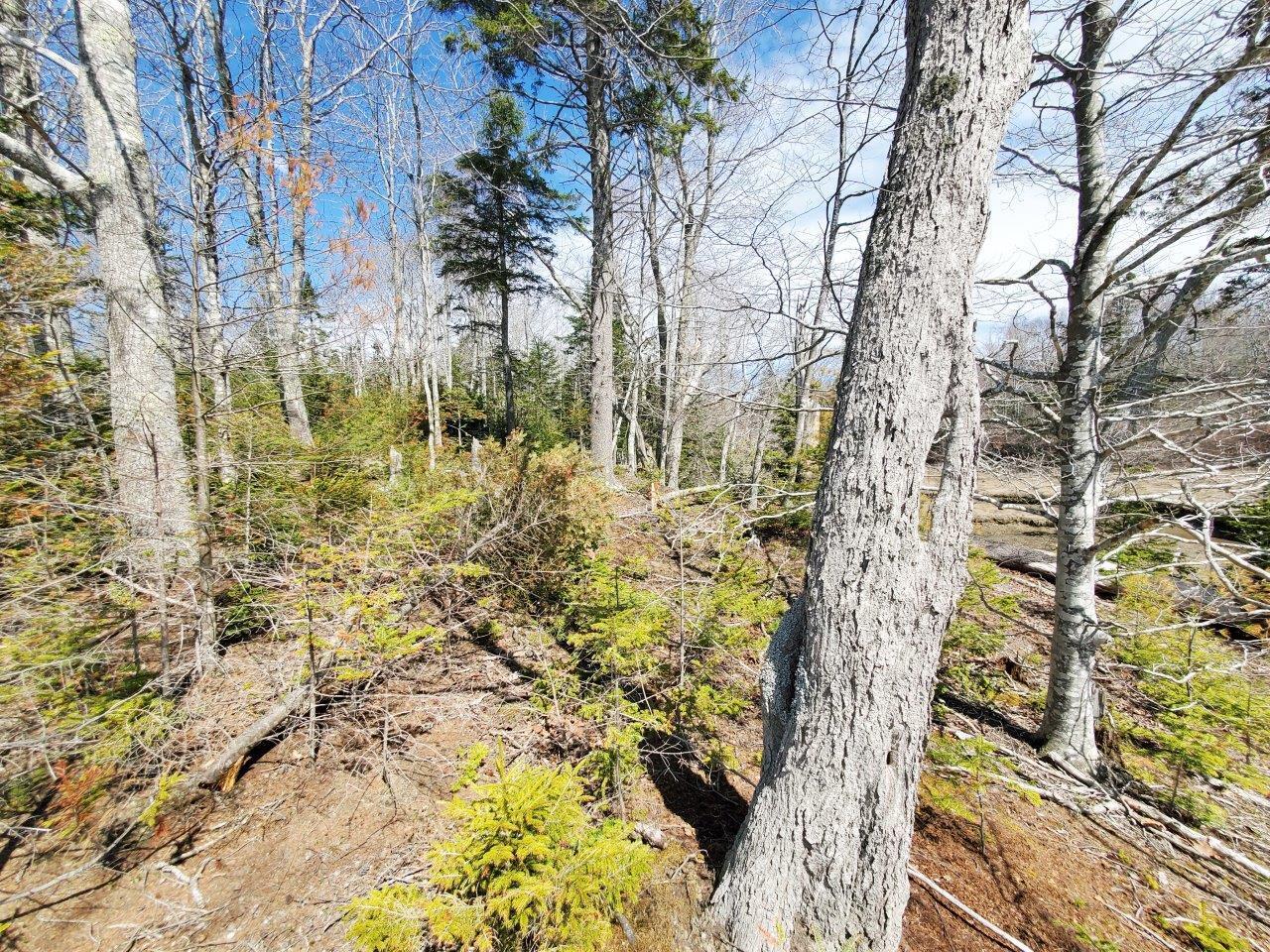 132 Pirates Cove Road Stockton Springs, ME 04981 - Photo 20 of 27 20260426_105439 b