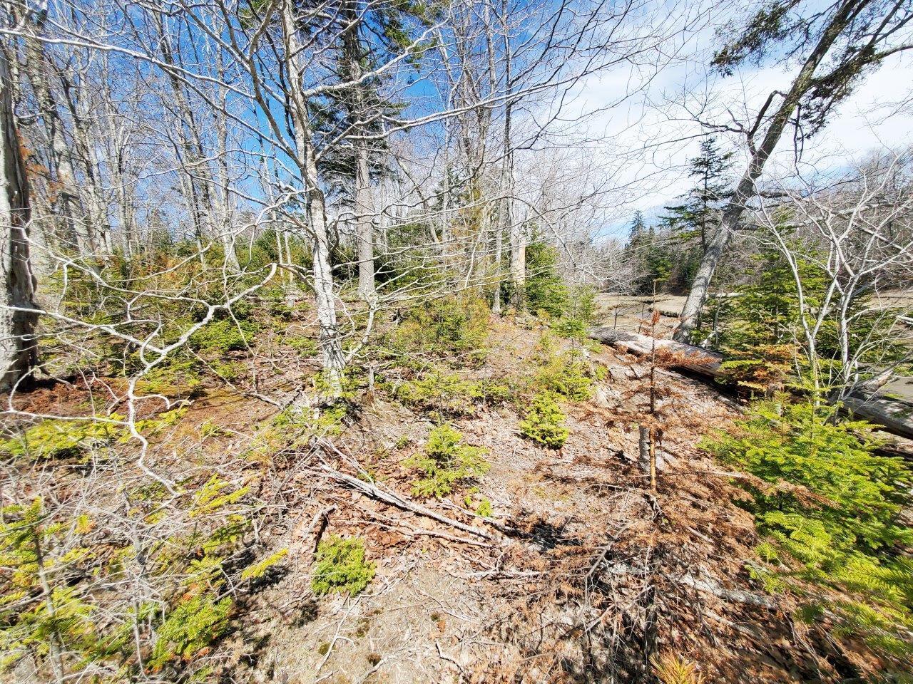 132 Pirates Cove Road Stockton Springs, ME 04981 - Photo 21 of 27 20260426_105452 b