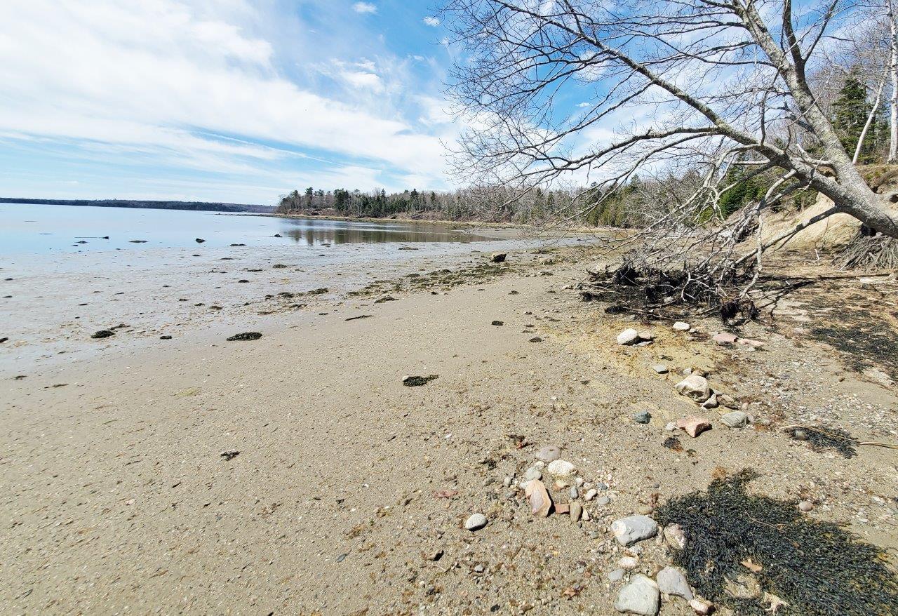 132 Pirates Cove Road Stockton Springs, ME 04981 - Photo 25 of 27 20260426_105600 b_ cr edited-1