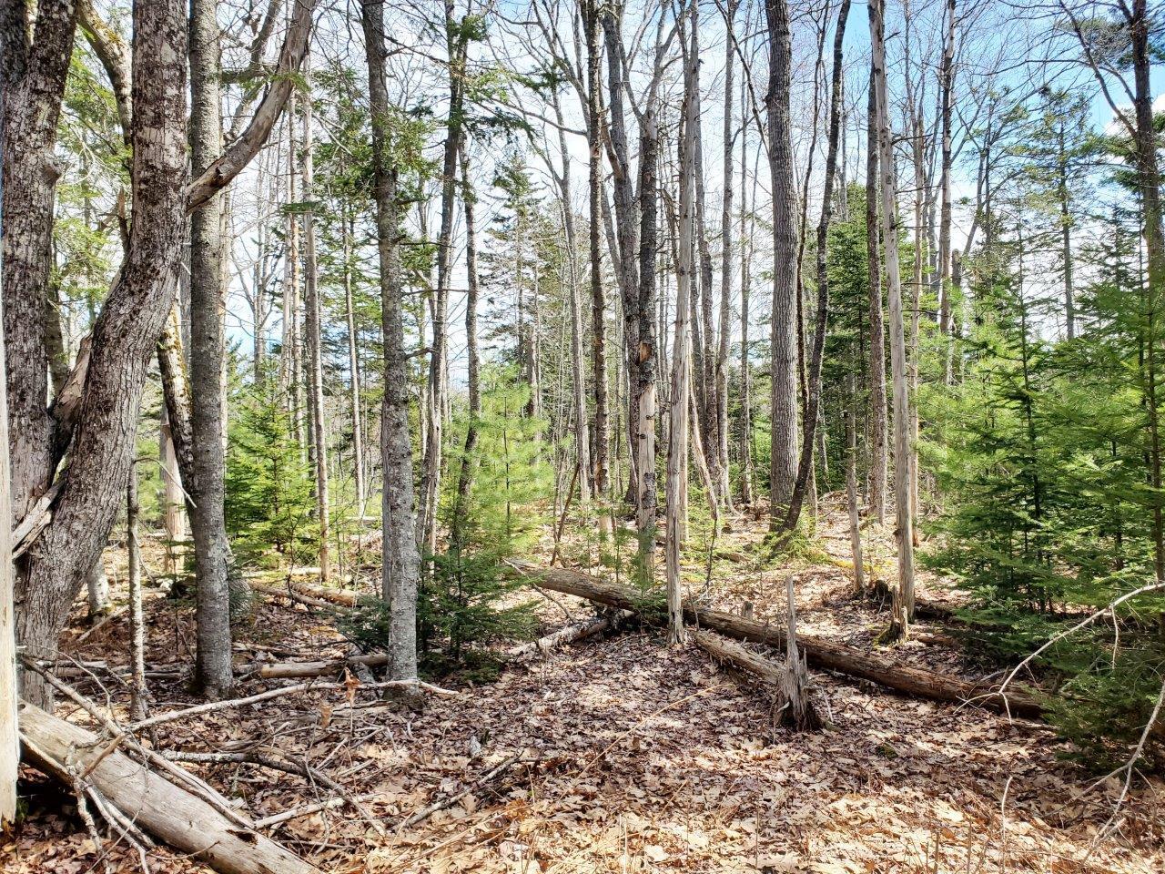 132 Pirates Cove Road Stockton Springs, ME 04981 - Photo 27 of 27 20260426_111112 b