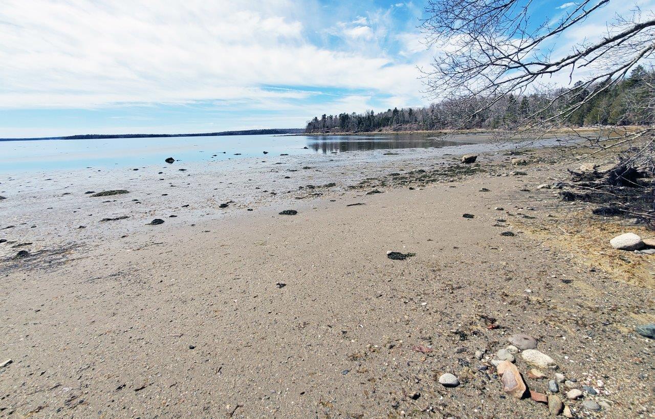 132 Pirates Cove Road Stockton Springs, ME 04981 - Photo 5 of 27 20260426_105601 b_ cr edited-1