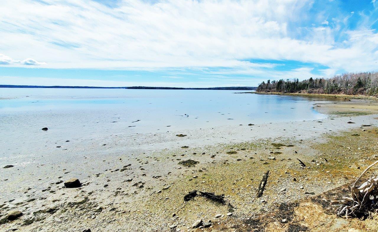 132 Pirates Cove Road Stockton Springs, ME 04981 - Photo 6 of 27 20260426_105006 b cr 2_edited-2