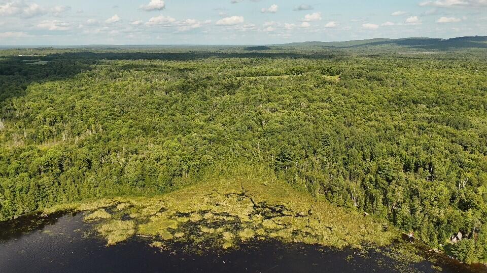 DJI_20260731161058_0129_D