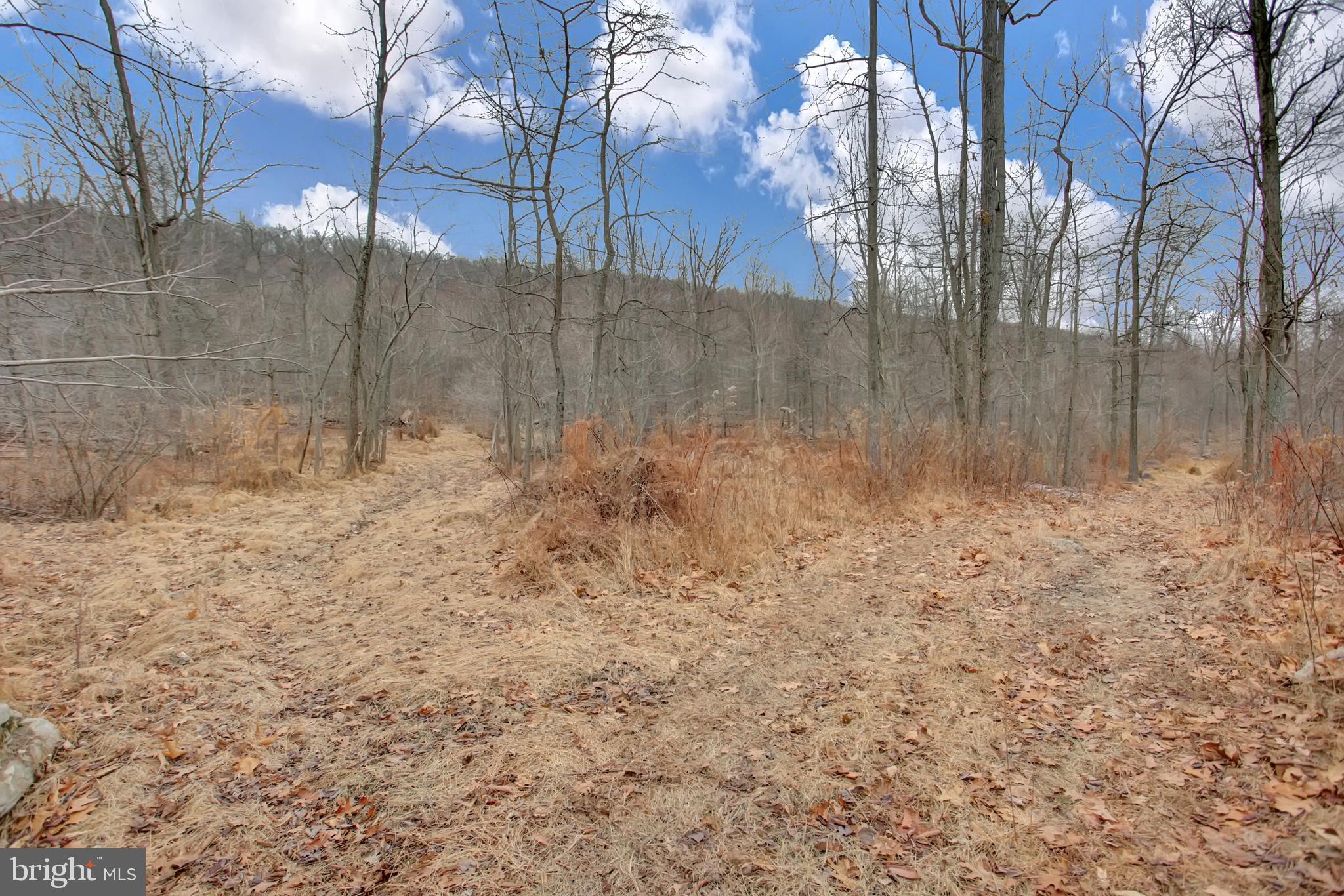 Holtz Road Enola, PA 17025 - Photo 3 of 4 Gallery Image 3