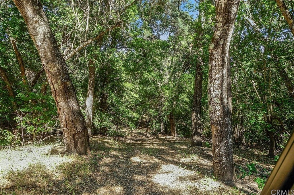 8470 Vineyard Ranch Way Paso Robles, CA 93446 - Photo 36 of 56