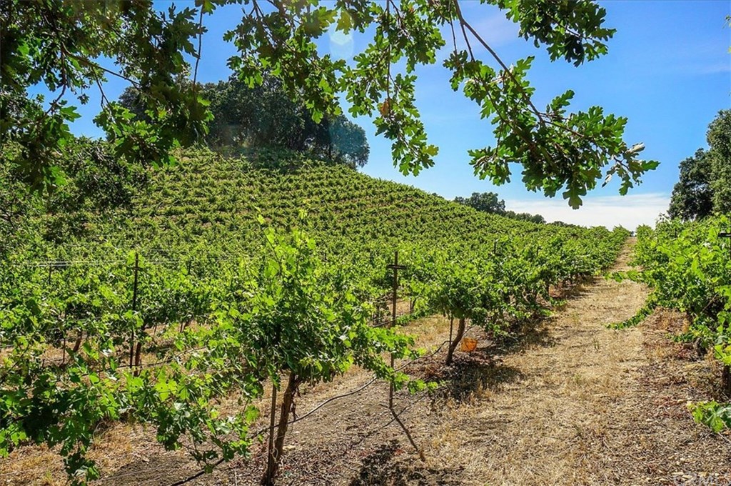 8470 Vineyard Ranch Way Paso Robles, CA 93446 - Photo 39 of 56