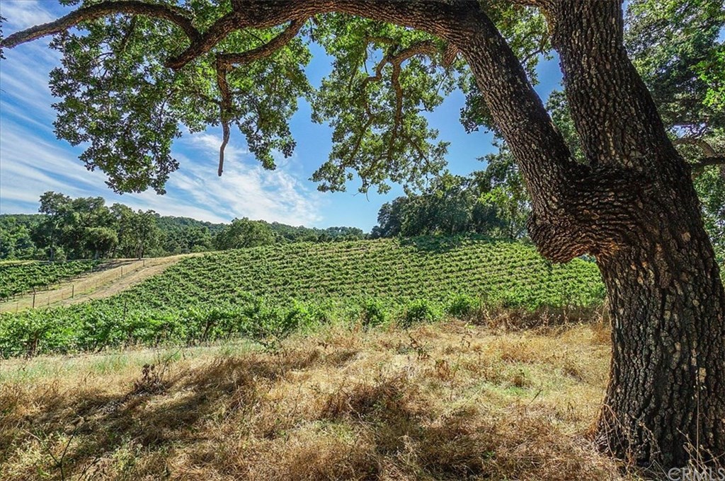 8470 Vineyard Ranch Way Paso Robles, CA 93446 - Photo 40 of 56