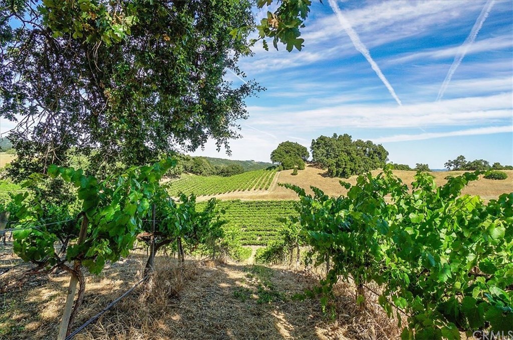 8470 Vineyard Ranch Way Paso Robles, CA 93446 - Photo 43 of 56
