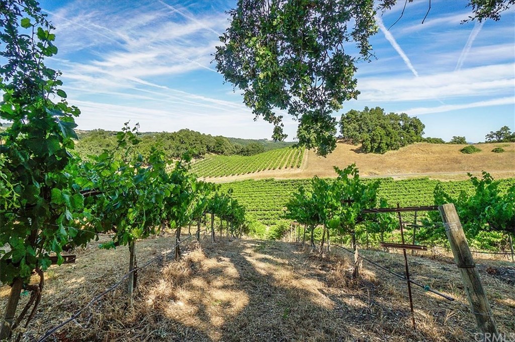 8470 Vineyard Ranch Way Paso Robles, CA 93446 - Photo 44 of 56