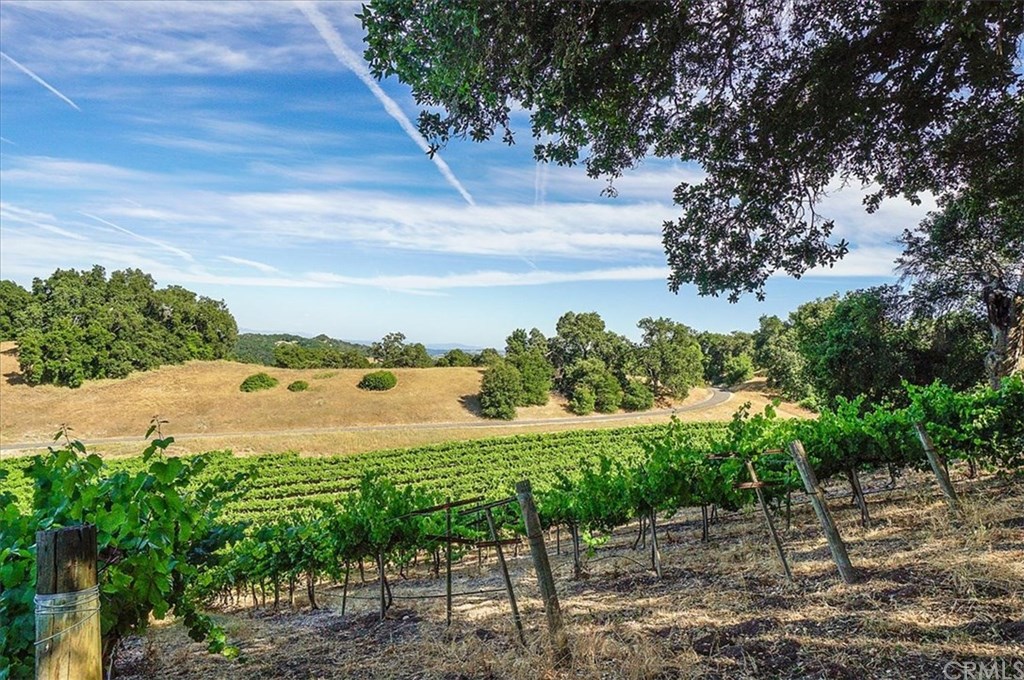 8470 Vineyard Ranch Way Paso Robles, CA 93446 - Photo 45 of 56