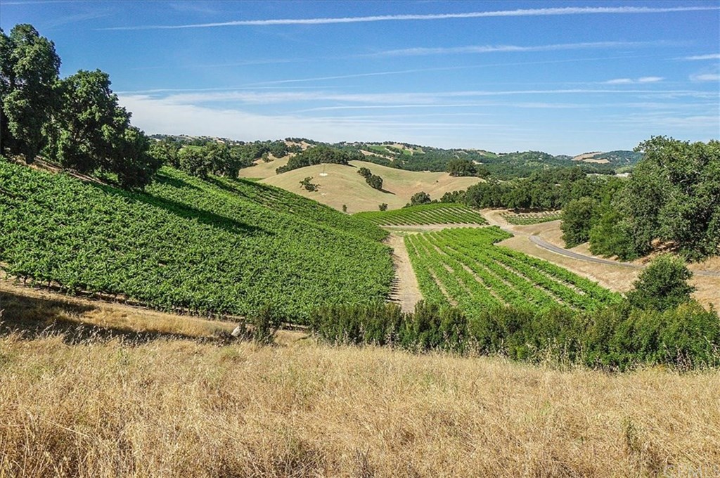 8470 Vineyard Ranch Way Paso Robles, CA 93446 - Photo 47 of 56