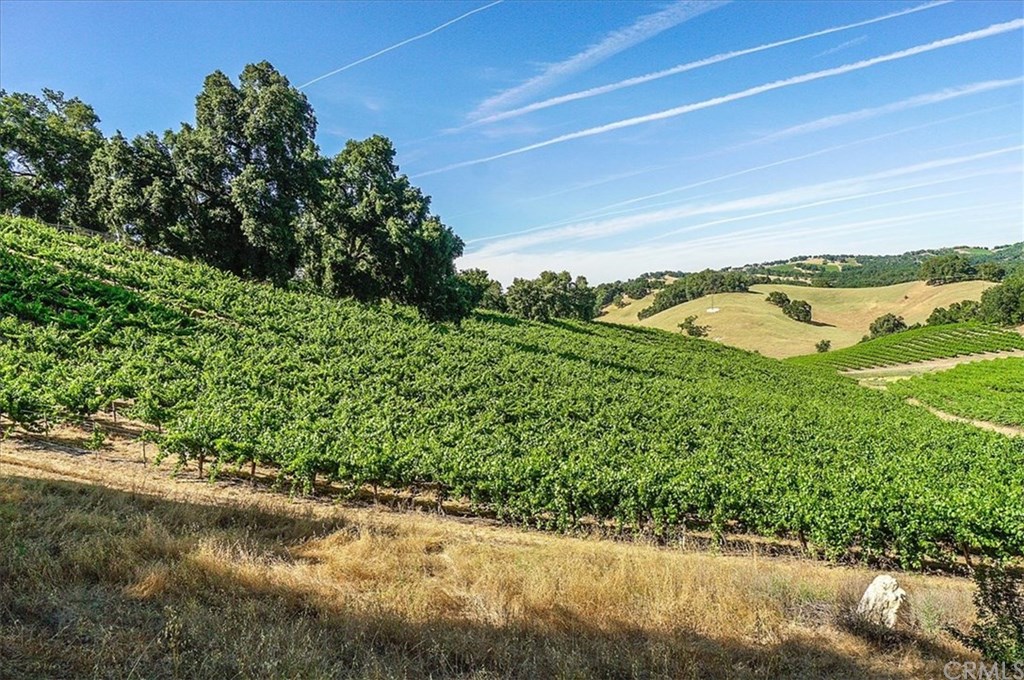 8470 Vineyard Ranch Way Paso Robles, CA 93446 - Photo 48 of 56