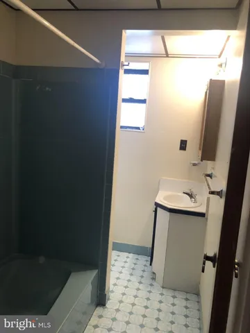 a bathroom with a sink a mirror and a shower
