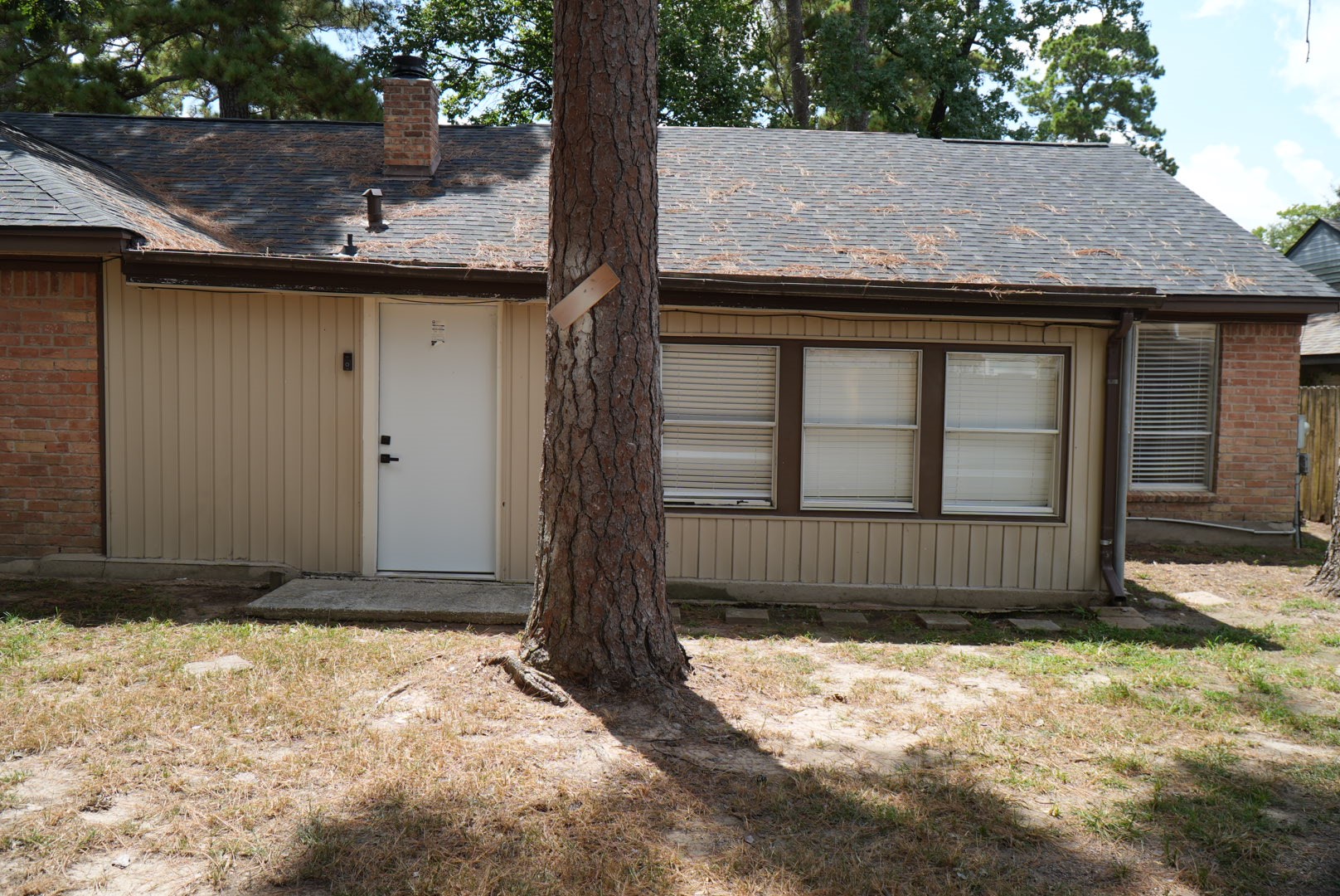 22707 Cranberry Trail Spring, TX 77373 - Photo 21 of 22 backyard