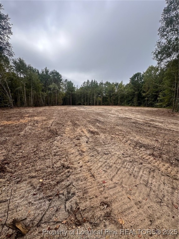 Tbd Doe Hill Road Autryville, NC 28318 - Photo 41 of 44 a view of outdoor space with mountain view