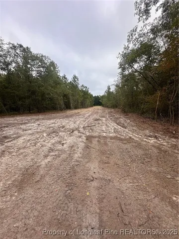 $619,900 | Tbd Doe Hill Road, Autryville, NC 28318