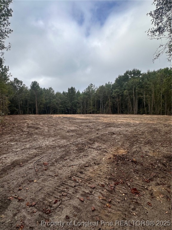 Tbd Doe Hill Road Autryville, NC 28318 - Photo 43 of 44 a view of empty field with trees in background