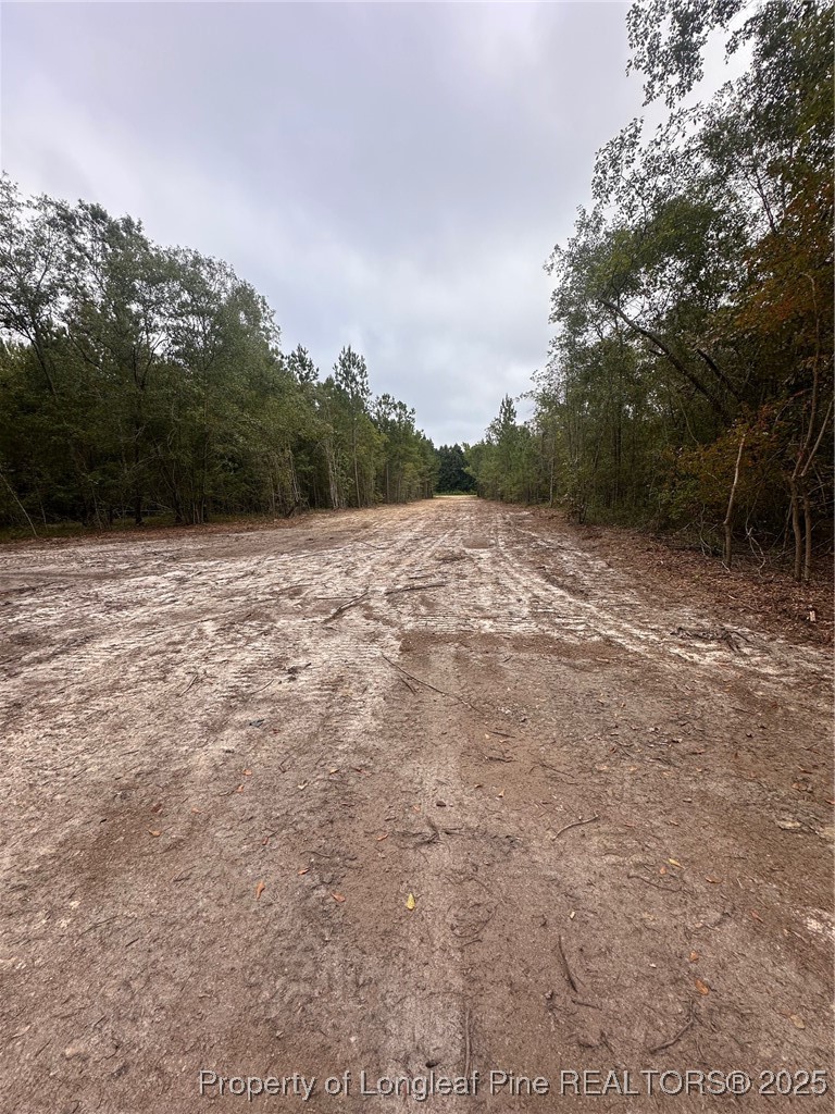 Tbd Doe Hill Road Autryville, NC 28318 - Photo 45 of 47