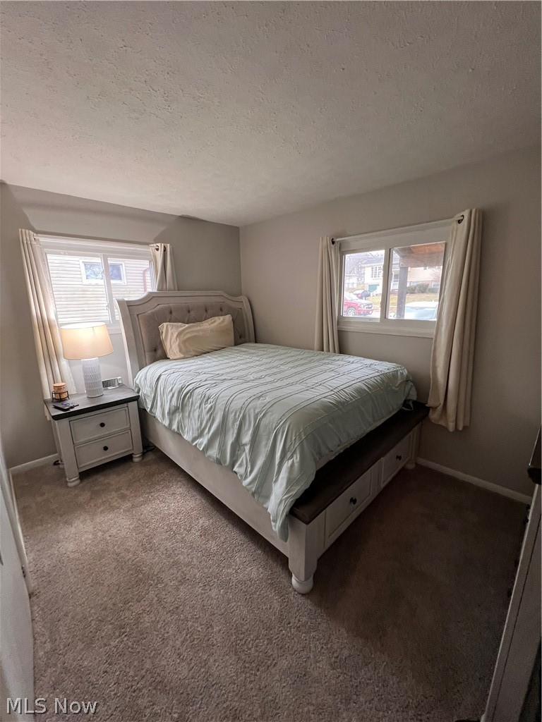 250 Baker Street Rittman, OH 44270 - Photo 14 of 31 bedroom 1 main