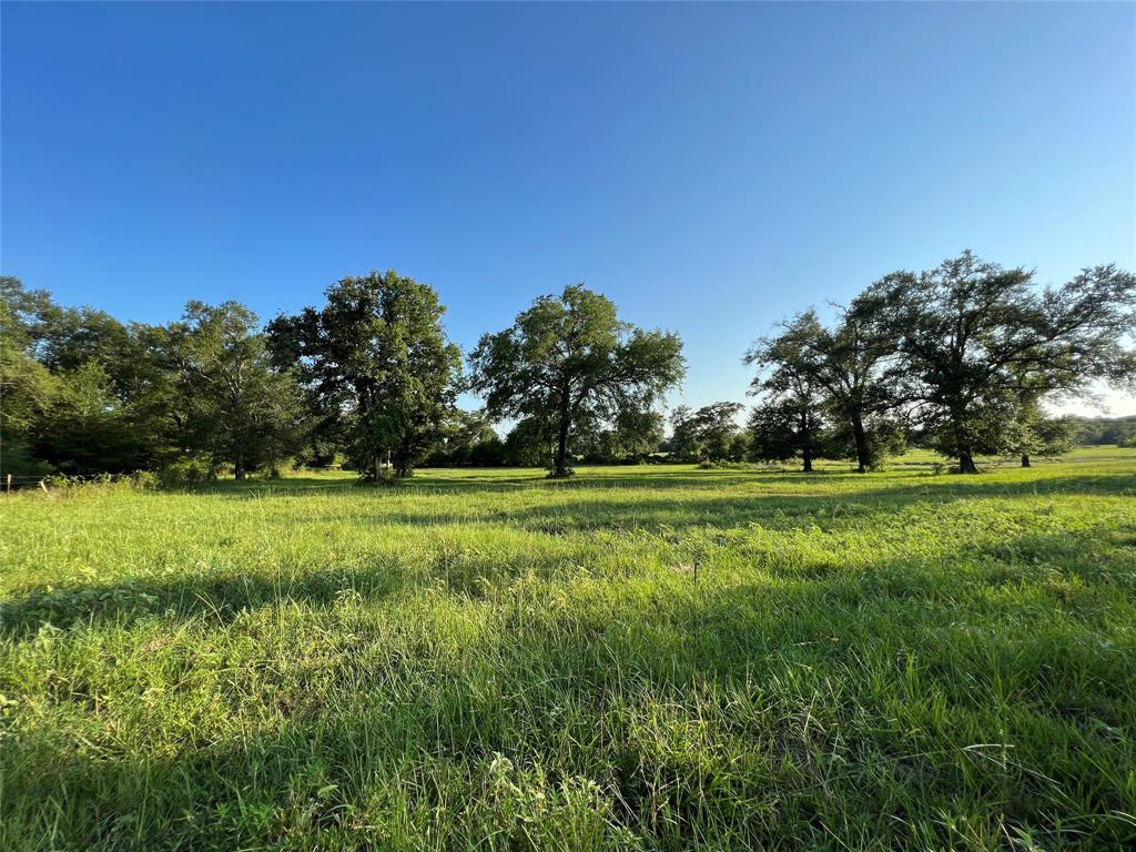 19585 Fm 2620 Bedias Tx  