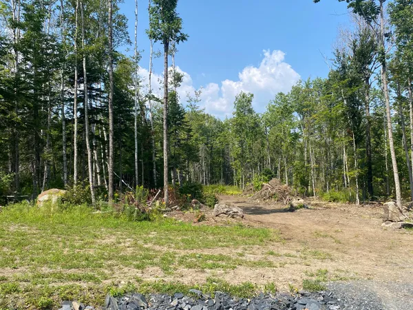 $115,000 | 6 Tumbledown Lane, Greenville, ME 04441