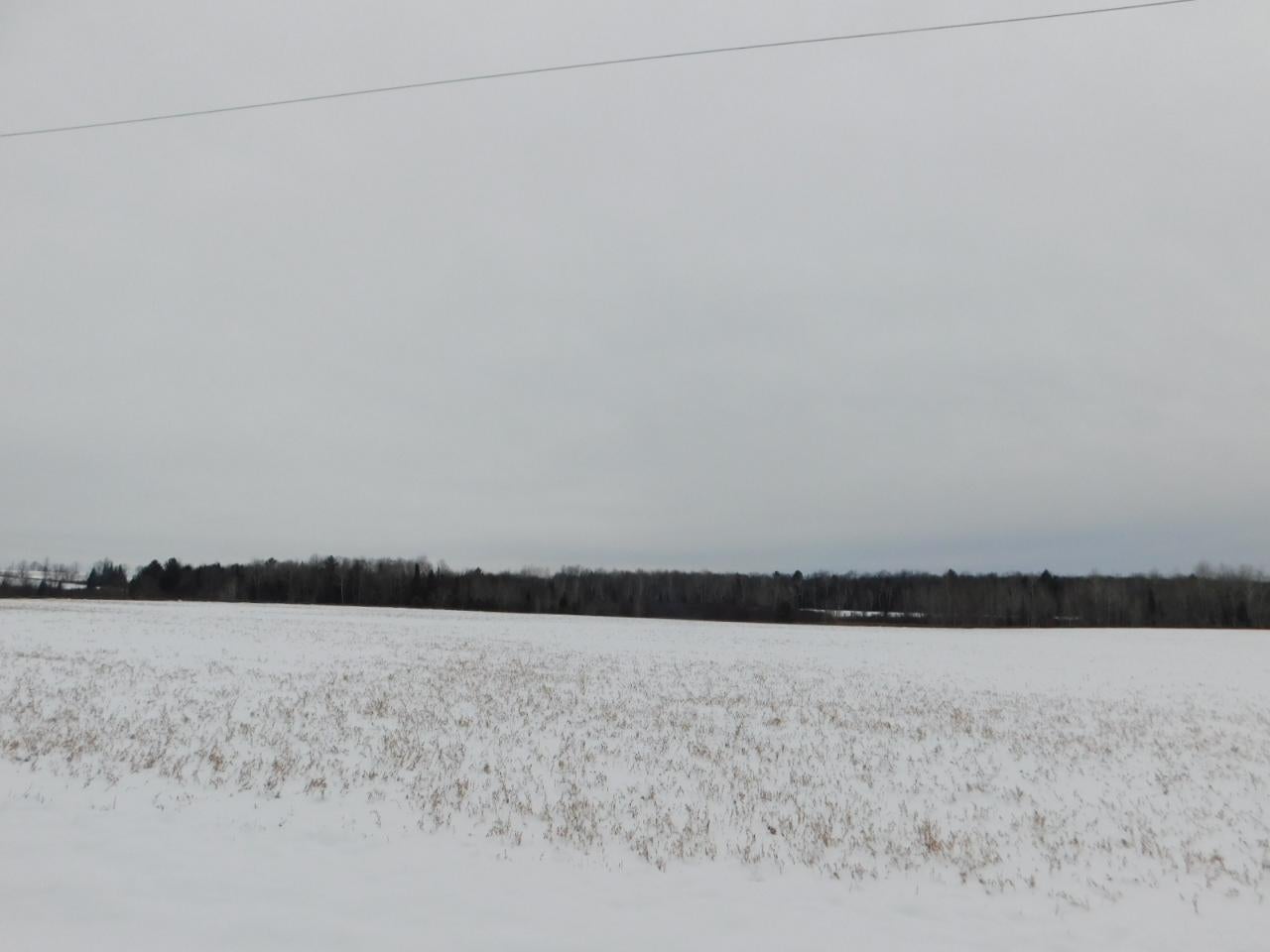 Lot 1 Town Hall Road Gleason, WI 54435 - Photo 8 of 8 Gallery Image 8