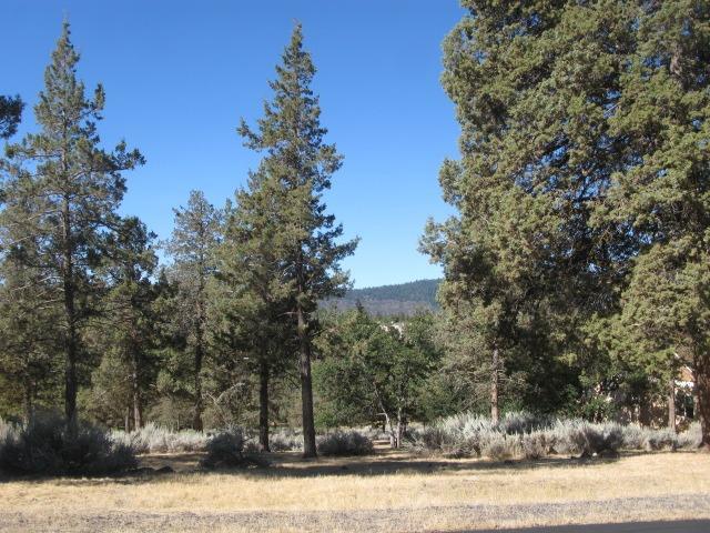 0 Kestrel Road Klamath Falls, OR 97601 - Photo 4 of 6 Additional Photo