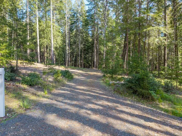 a view of outdoor space with trees all around