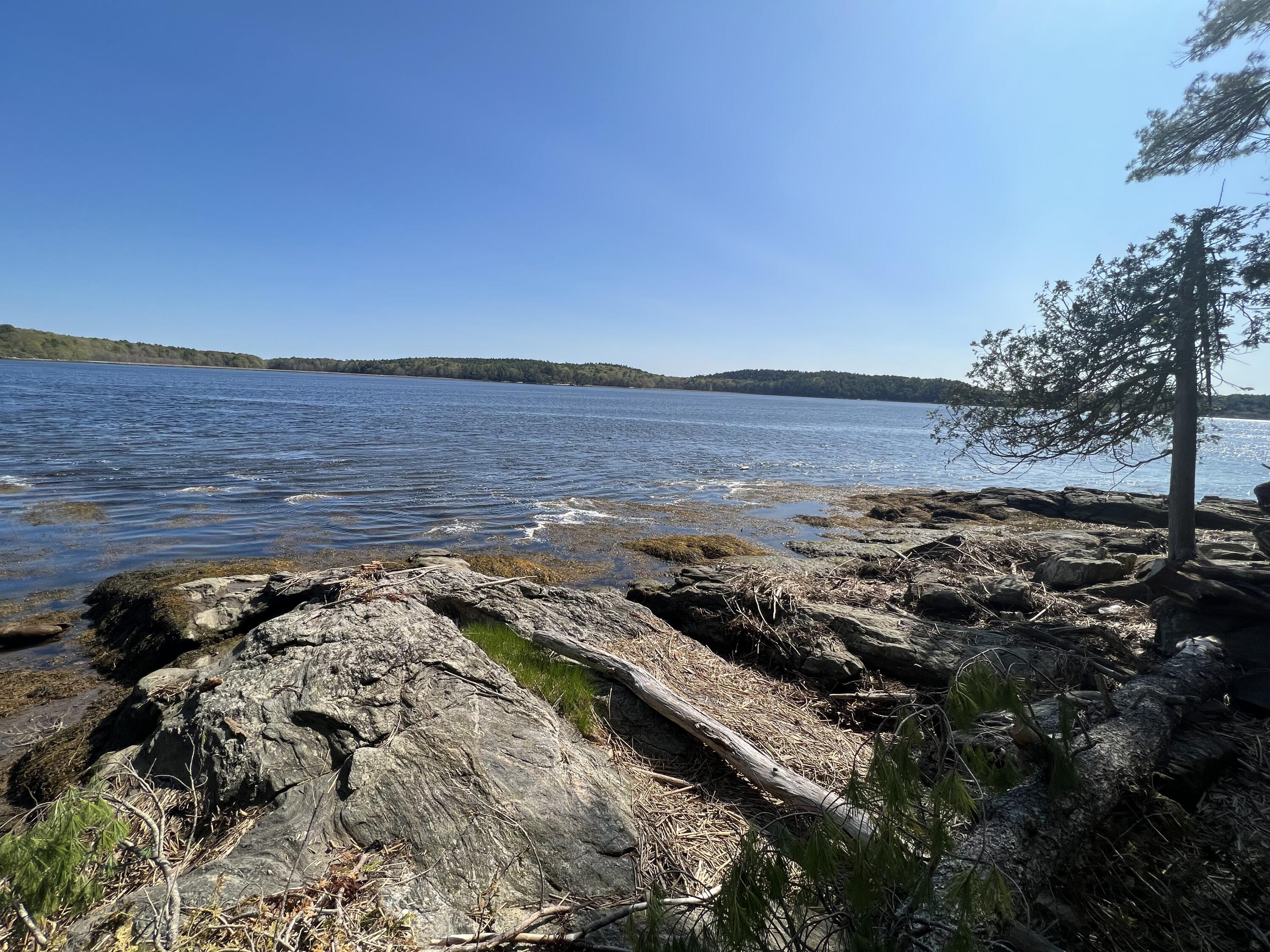 8 Kennebec Shores Road Phippsburg, ME 04562 - Photo 5 of 13 IMG-9217