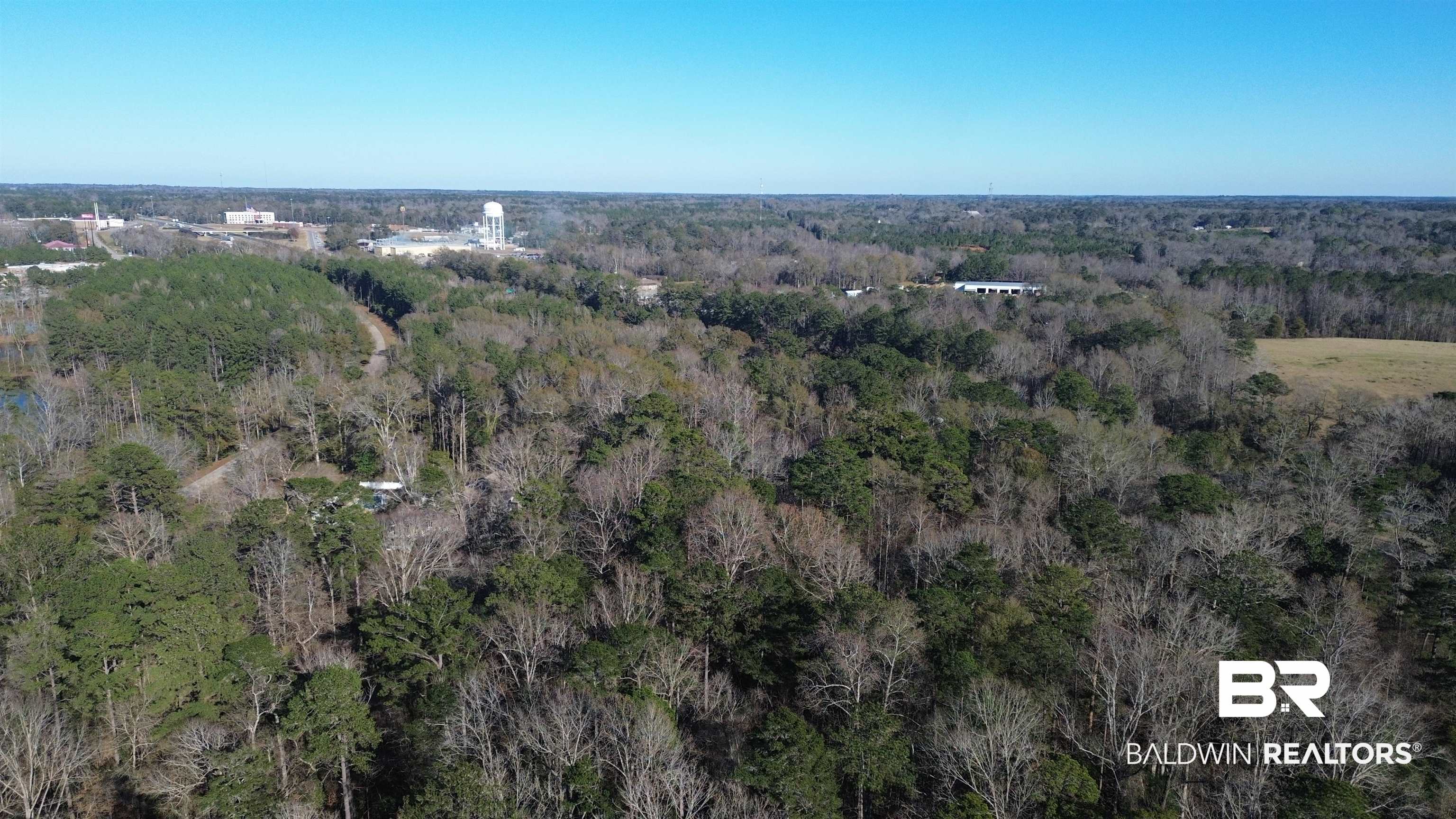 756 Ted Bates Road Evergreen, AL 36401 - Photo 26 of 28 Aerial view
