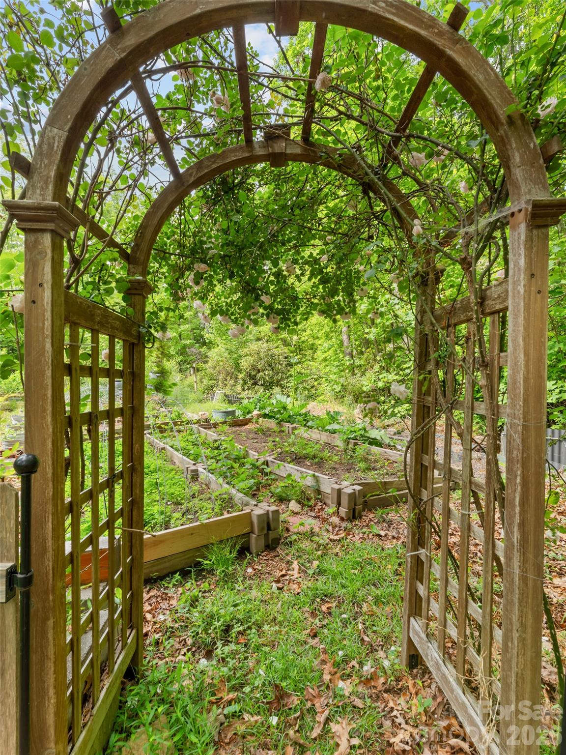 103 Old Southside Road Saluda, NC 28773 - Photo 47 of 48