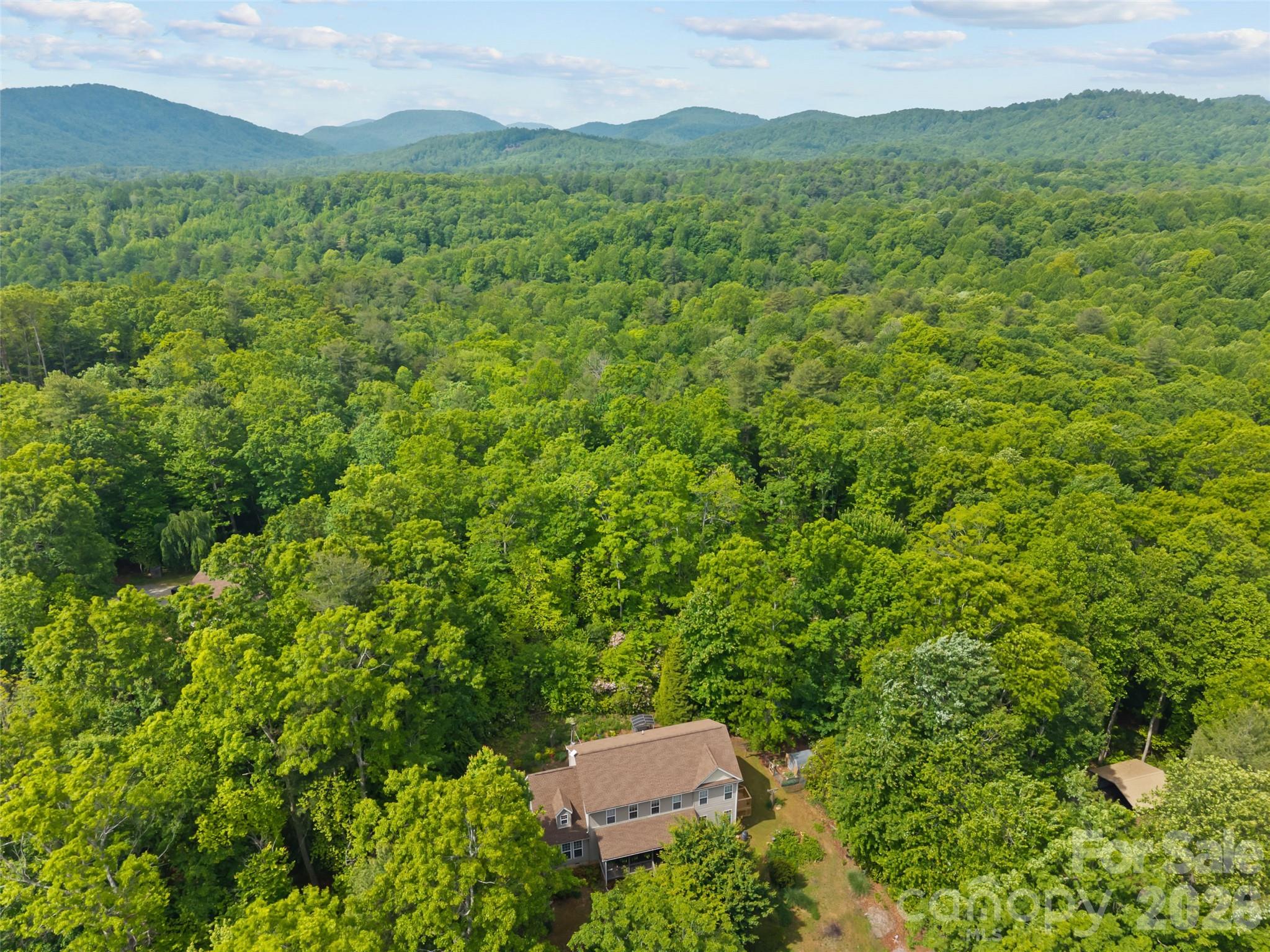 103 Old Southside Road Saluda, NC 28773 - Photo 7 of 48