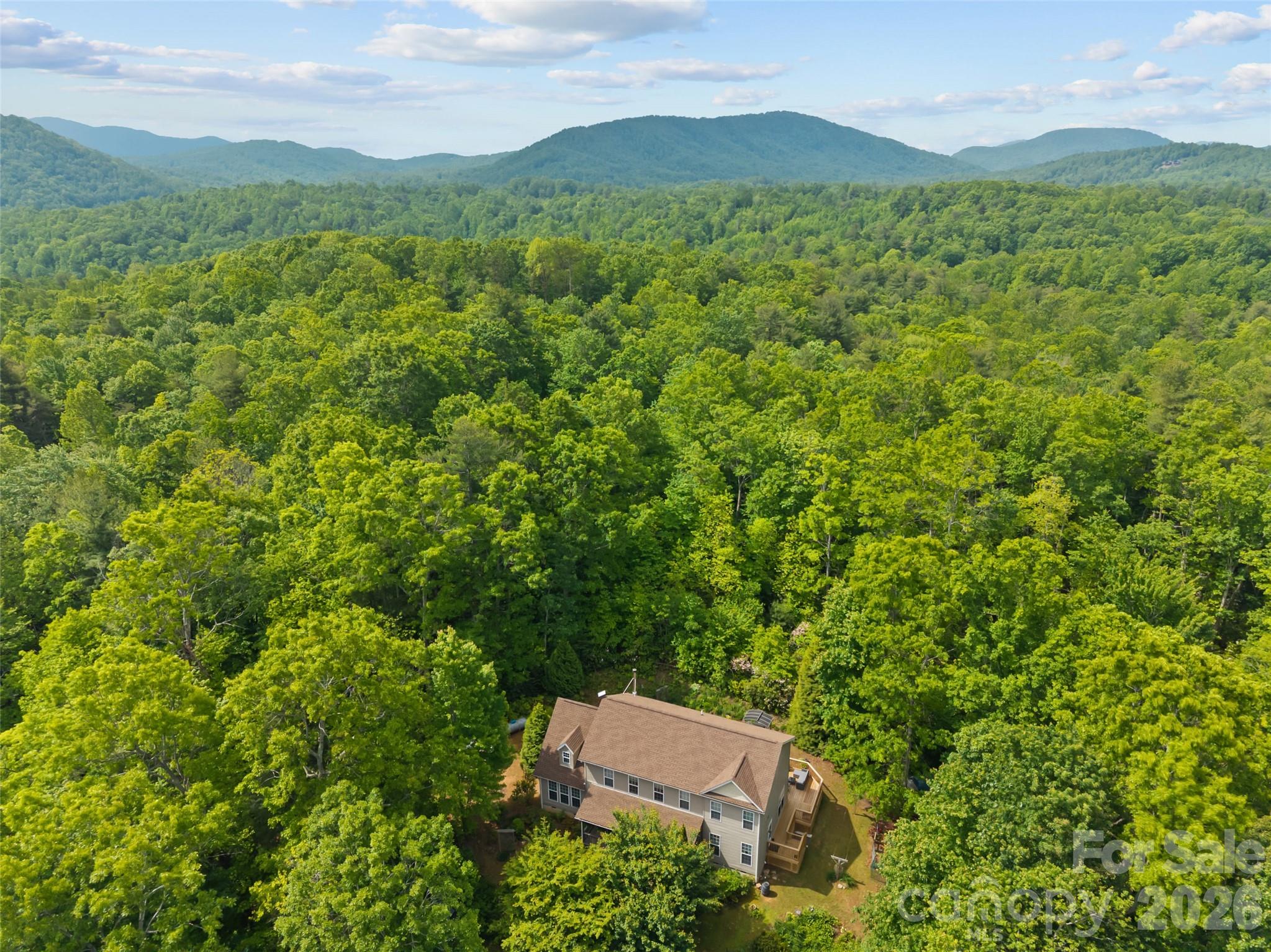 103 Old Southside Road Saluda, NC 28773 - Photo 9 of 48