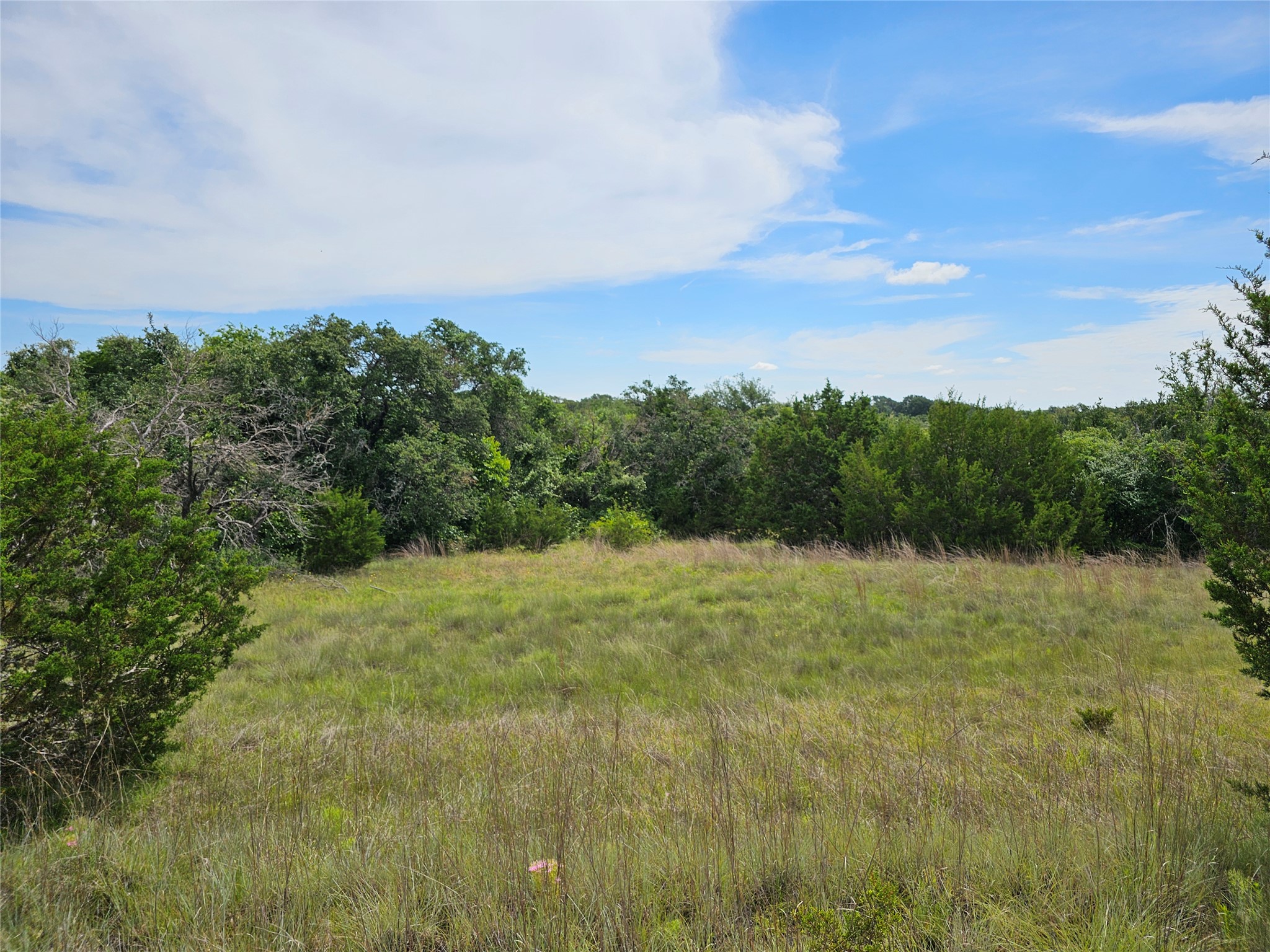 580 East 0123 Kempner, TX 76539 - Photo 8 of 15 A verdant, open field surrounded by a natural tree line defines this peaceful property.