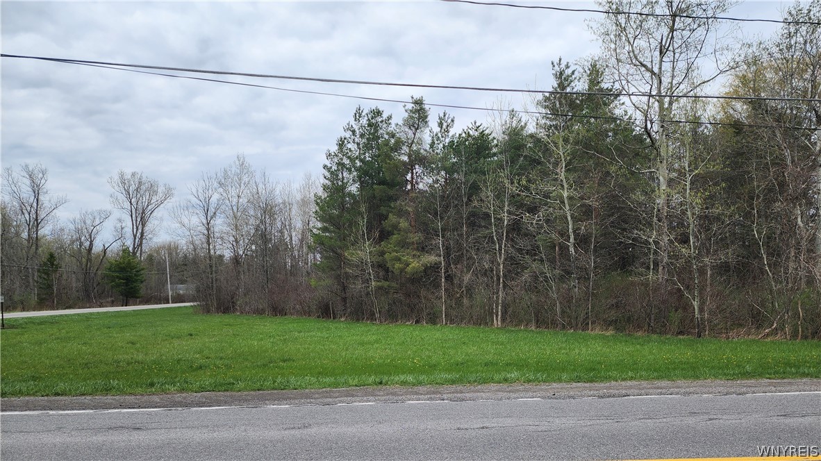 Gabbey Road Corfu, NY 14036 - Photo 3 of 8
