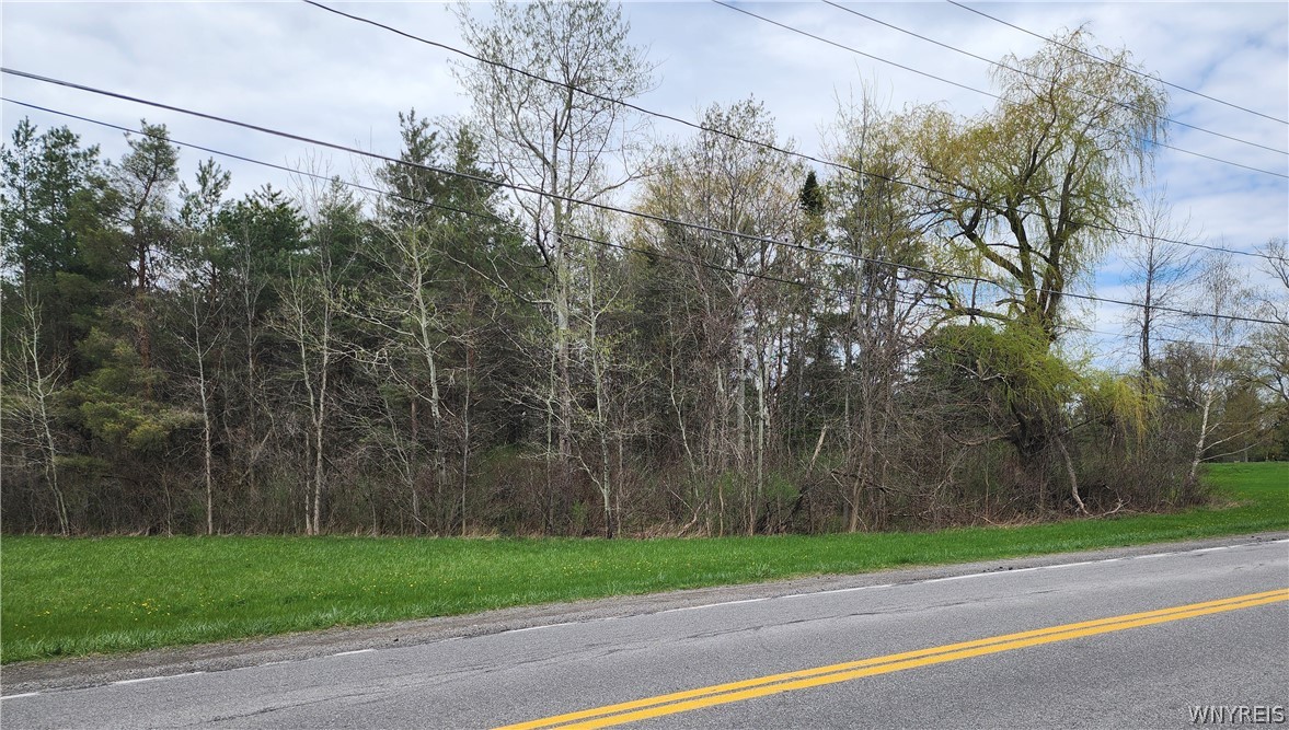 Gabbey Road Corfu, NY 14036 - Photo 4 of 8