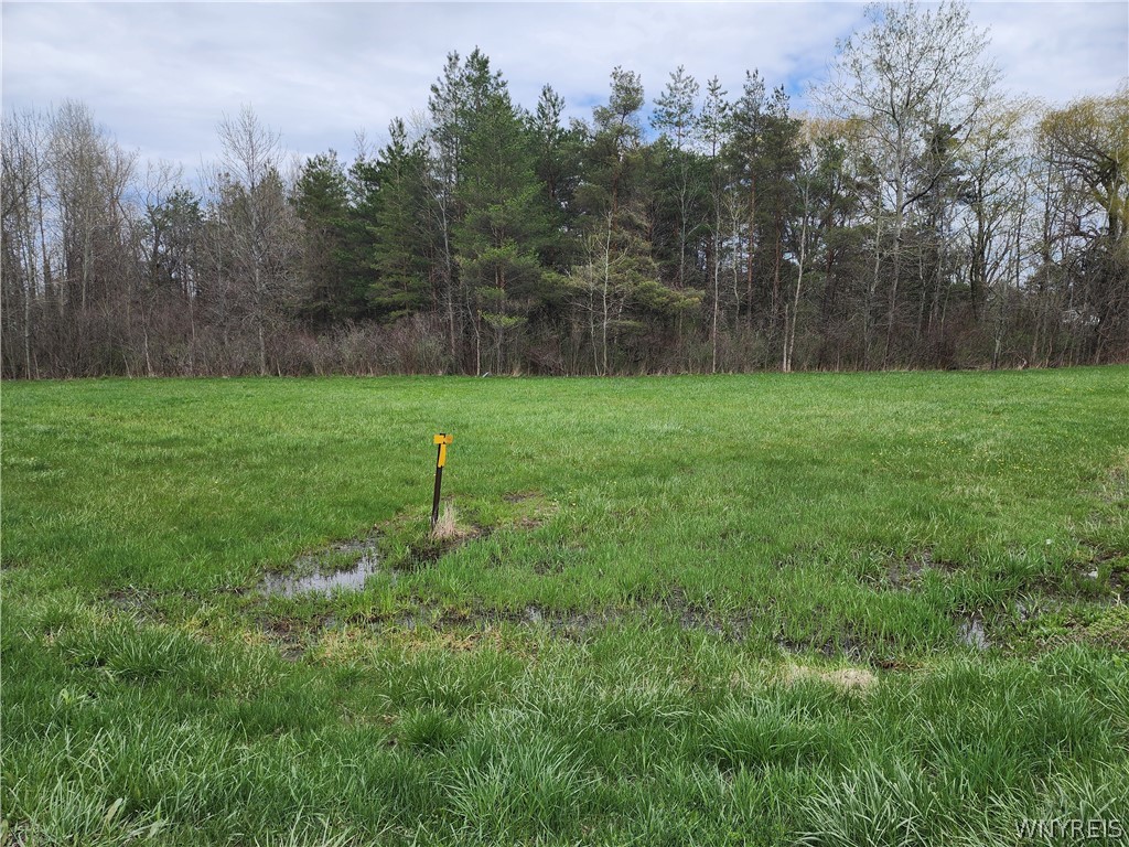 Gabbey Road Corfu, NY 14036 - Photo 5 of 8