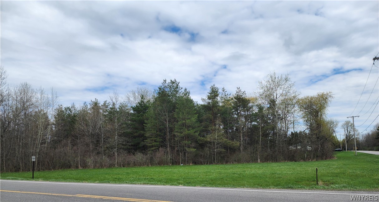 Gabbey Road Corfu, NY 14036 - Photo 6 of 8