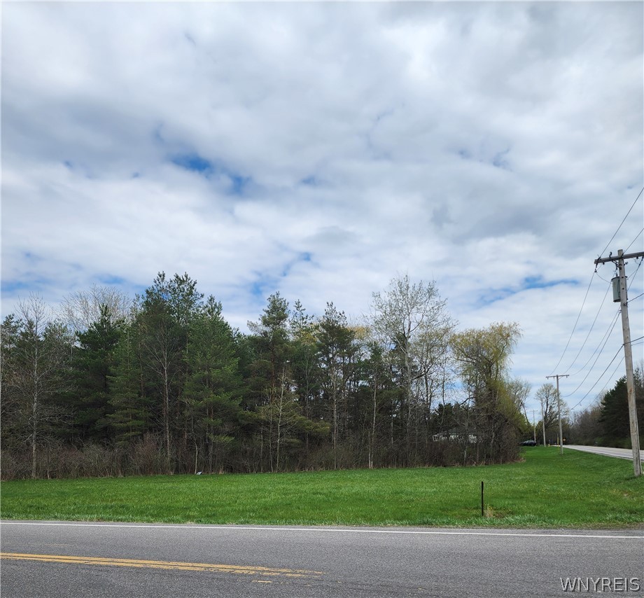 Gabbey Road Corfu, NY 14036 - Photo 7 of 8
