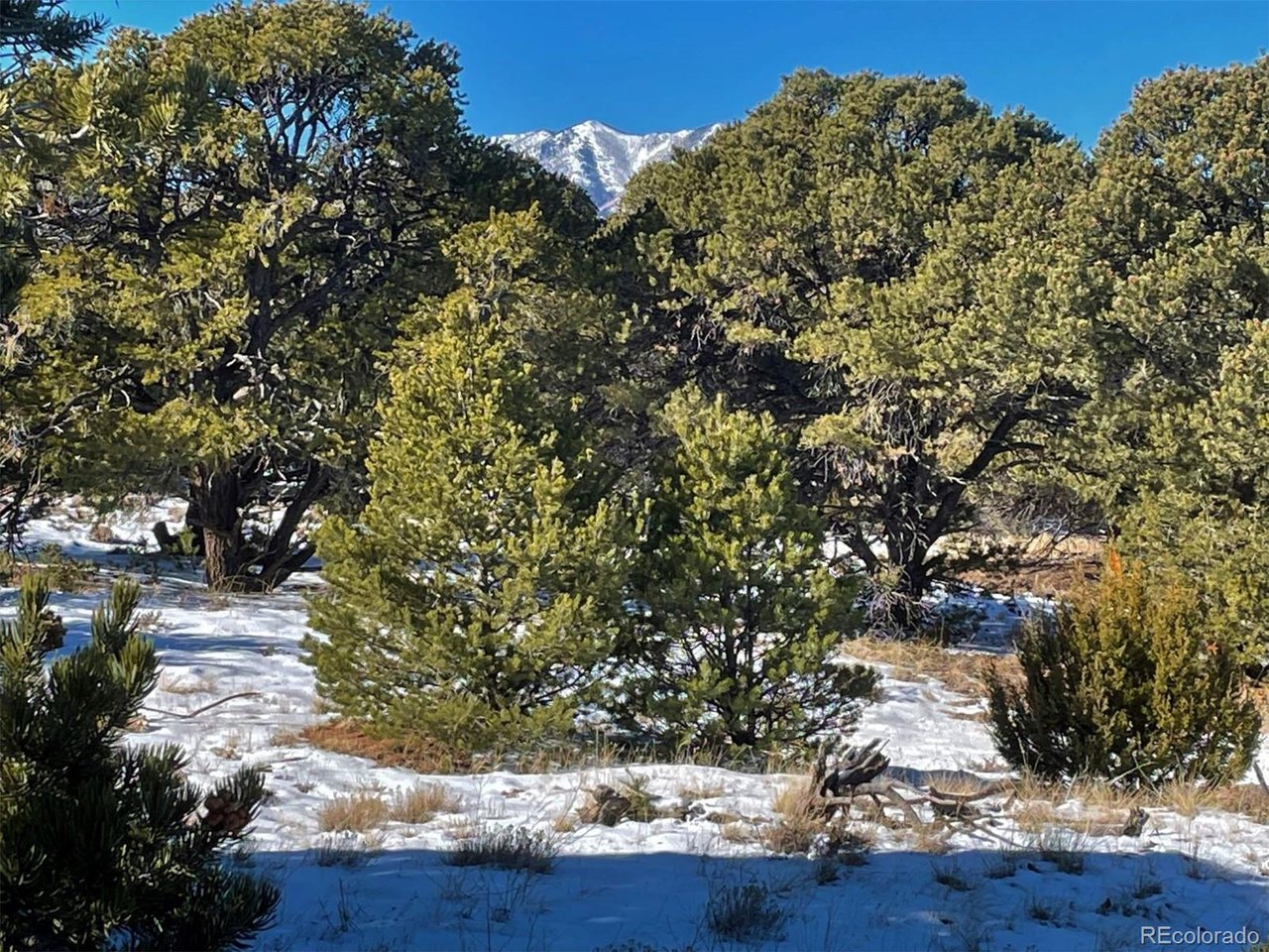 64 Navajo Ranch Walsenburg, CO 81089 - Photo 17 of 19