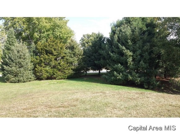 3111 Clevenger Road Franklin, IL 62638 - Photo 15 of 22