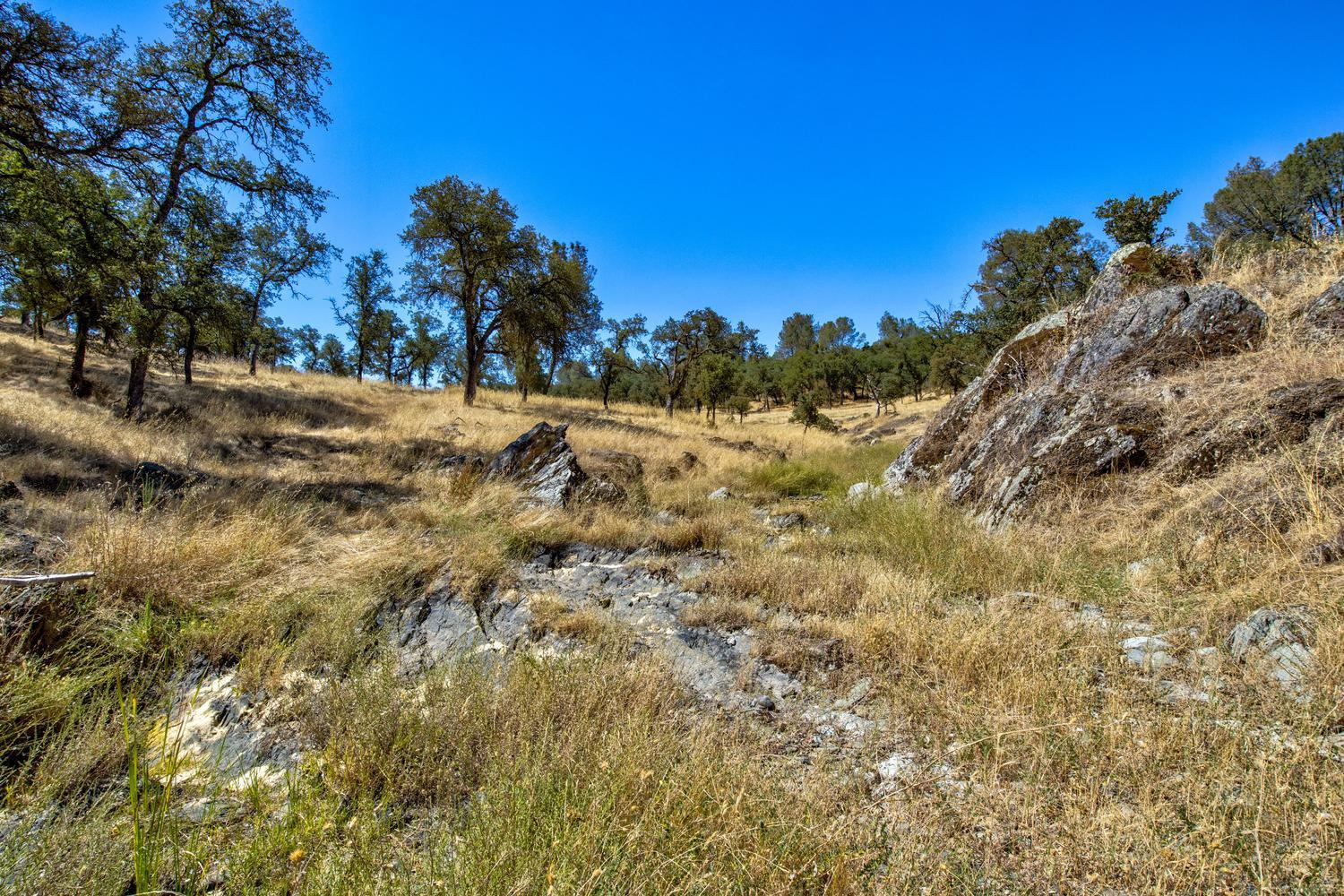 12550 Hogan Dam Road Farmington, CA 95230 - Photo 57 of 75