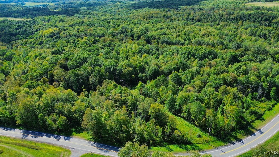 Lot 5-5 Paines Hollow Road Mohawk, NY 13407 - Photo 1 of 8